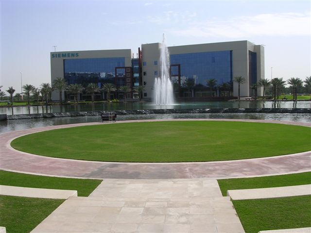 DSCN6664